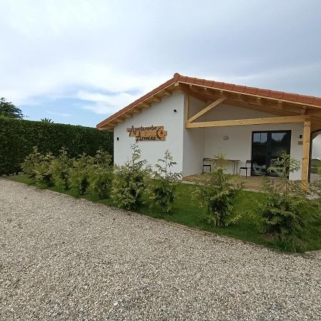 Apartamentos Aronces クディレロ エクステリア 写真